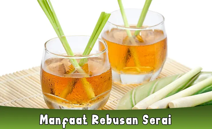 Manfaat Rebusan Serai Bagi Kesehatan dan Aturan Minum