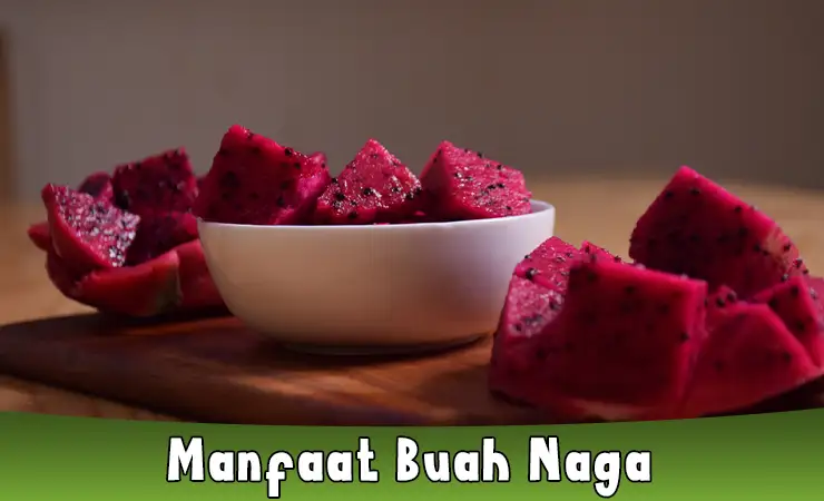 Manfaat Buah Naga Untuk Kesehatan Ibu Hamil dan Bayi