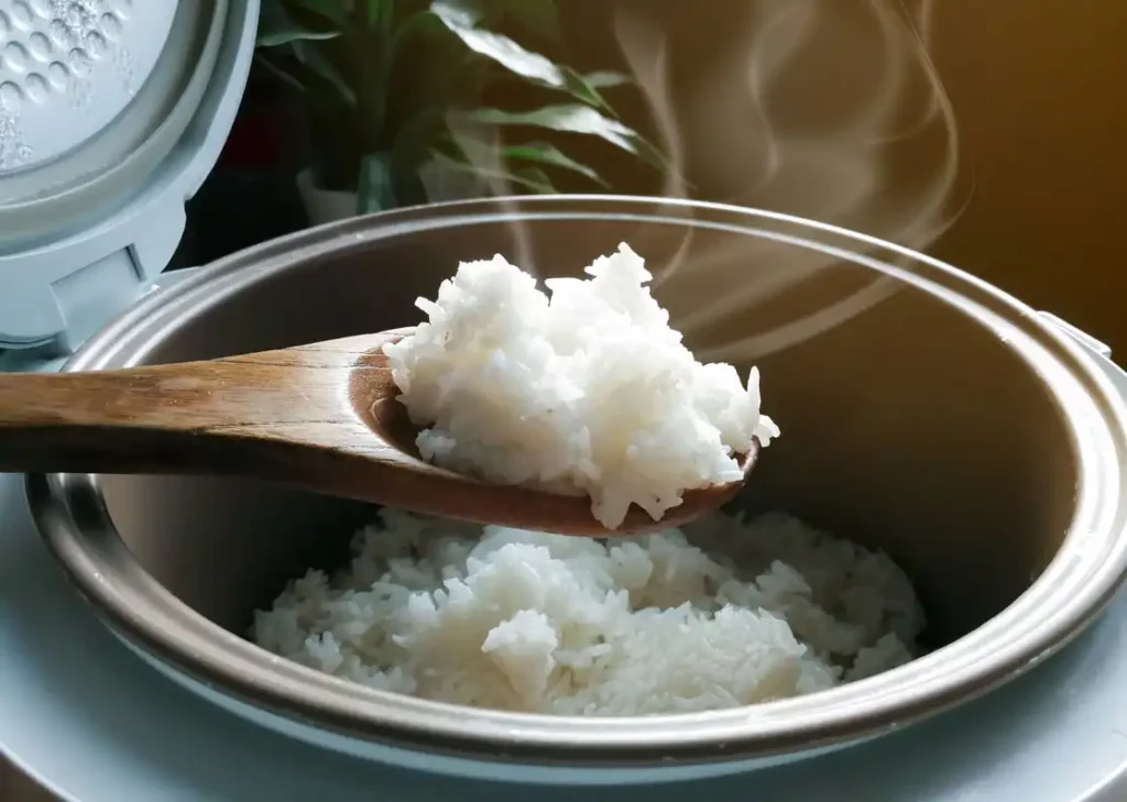 Cara Memanaskan Nasi